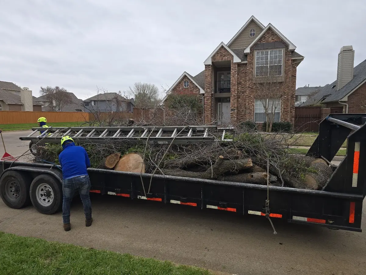 Expert Lot Clearing with proper safety equipment in Sims